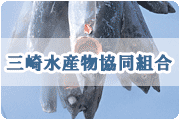 O萅Yg