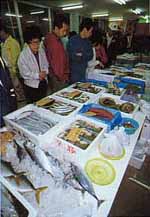 PA250018-s.jpg